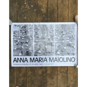 Anna Maria Maiolino Entrevidas 1981 MOCA exhibition poster performance art