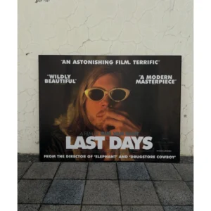 Official 2005 Gus Van Sant movie poster for Last Days featuring Michael Pitt in oval sunglasses, framed in a black wooden frame, measuring 101x76cm.