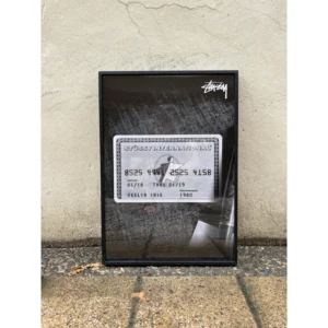 Official Stussy Fall 2018 S-T-U-S-S-Y campaign poster photographed by Theo Sion, featuring a metallic Stussy International credit card graphic on a dark textured background, framed in a black aluminum frame, measuring 42x30cm.